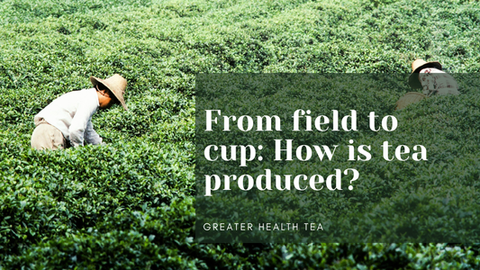 From Field to Cup: How is tea produced?